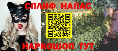 mdpv Малоярославец