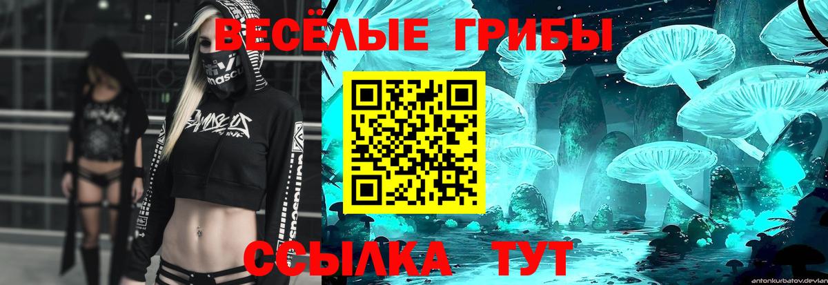 Псилоцибиновые грибы Psilocybe Владимир